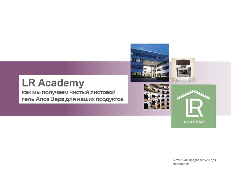 LR Academy как мы получаем чистый листовой гель Алоэ Вера для наших продуктов Материал LR Academy как мы получаем чистый листовой гель Алоэ Вера для наших продуктов Материал